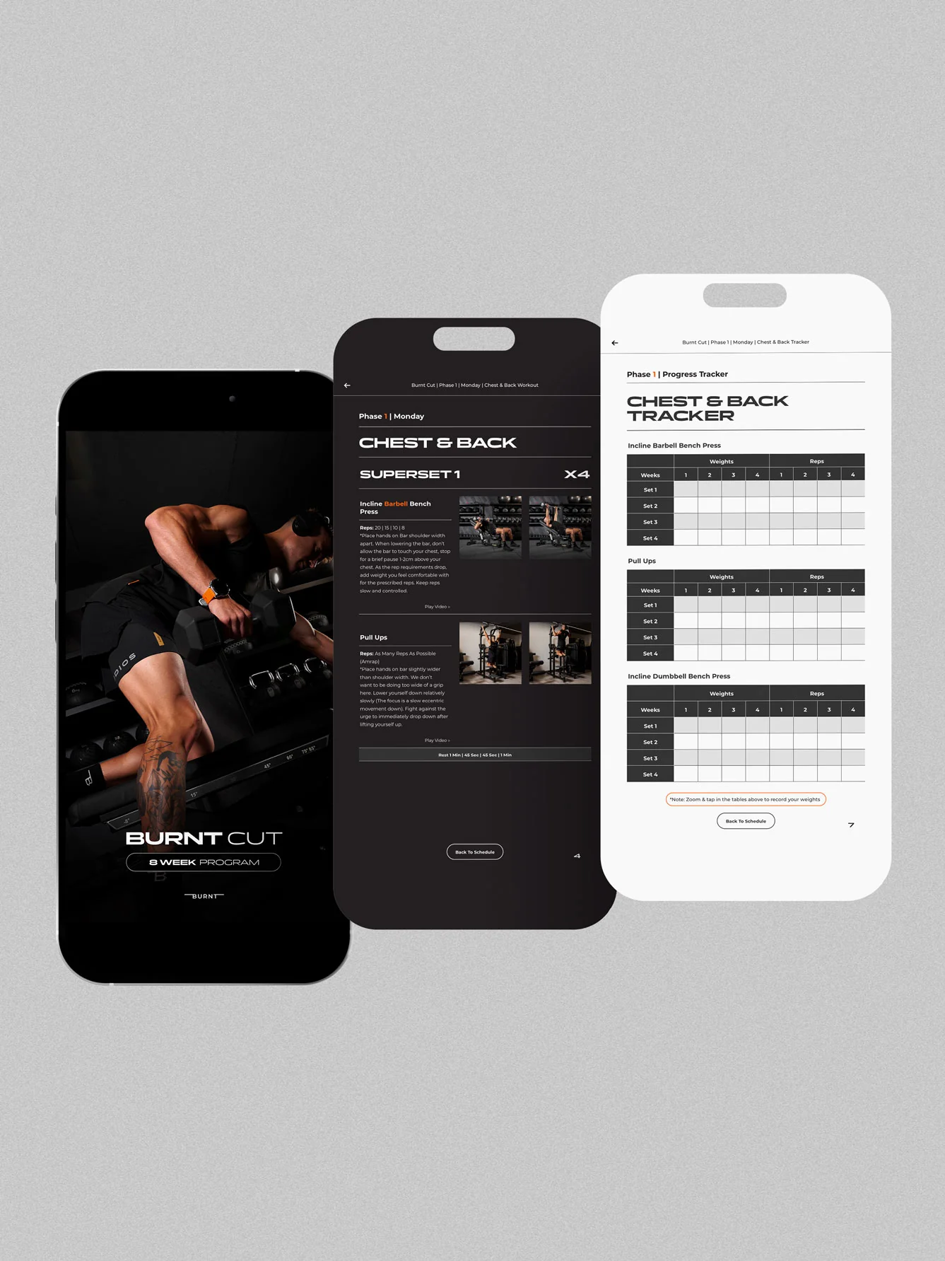 Burnt Cut | 8 Week Men's Gym Program - Image 4
